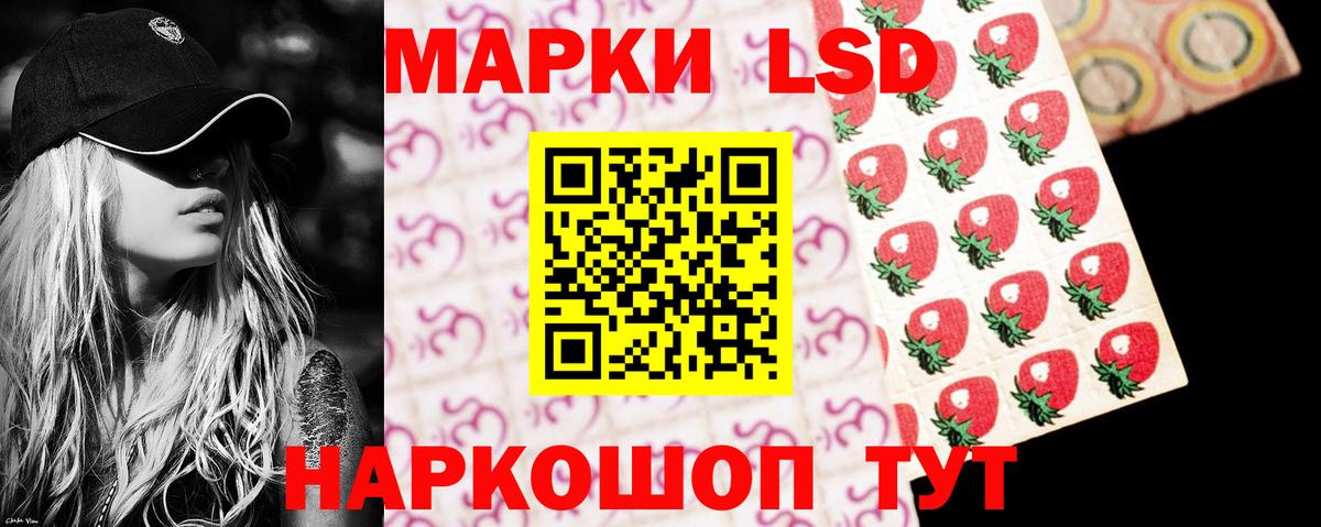 ЛСД экстази ecstasy  Вход с VPN  Новозыбков  Лсд 25 экстази ecstasy 