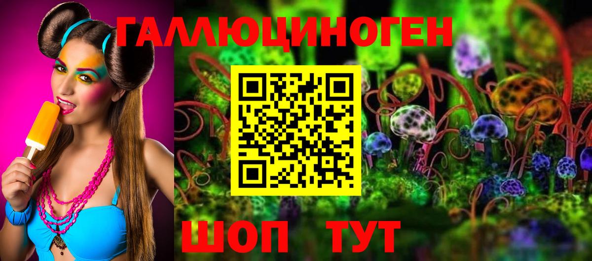 Новозыбков  сколько стоит  Вход с VPN  Галлюциногенные грибы мицелий 