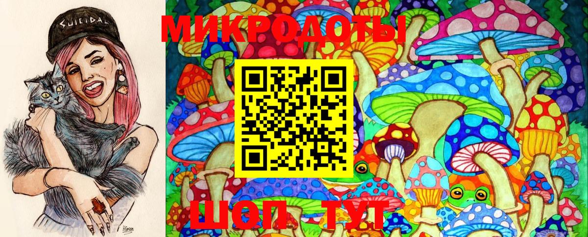 Псилоцибиновые грибы GOLDEN TEACHER Новозыбков